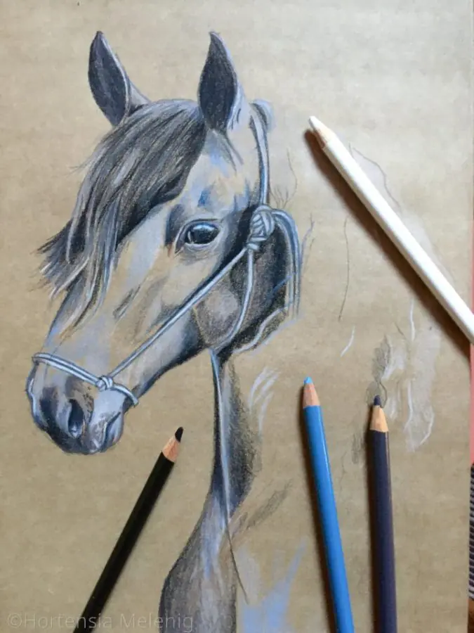 objectifs année 2022